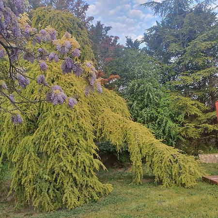 Gite Au Coeur De La Provence & Spa Saint-Cannat Esterno foto
