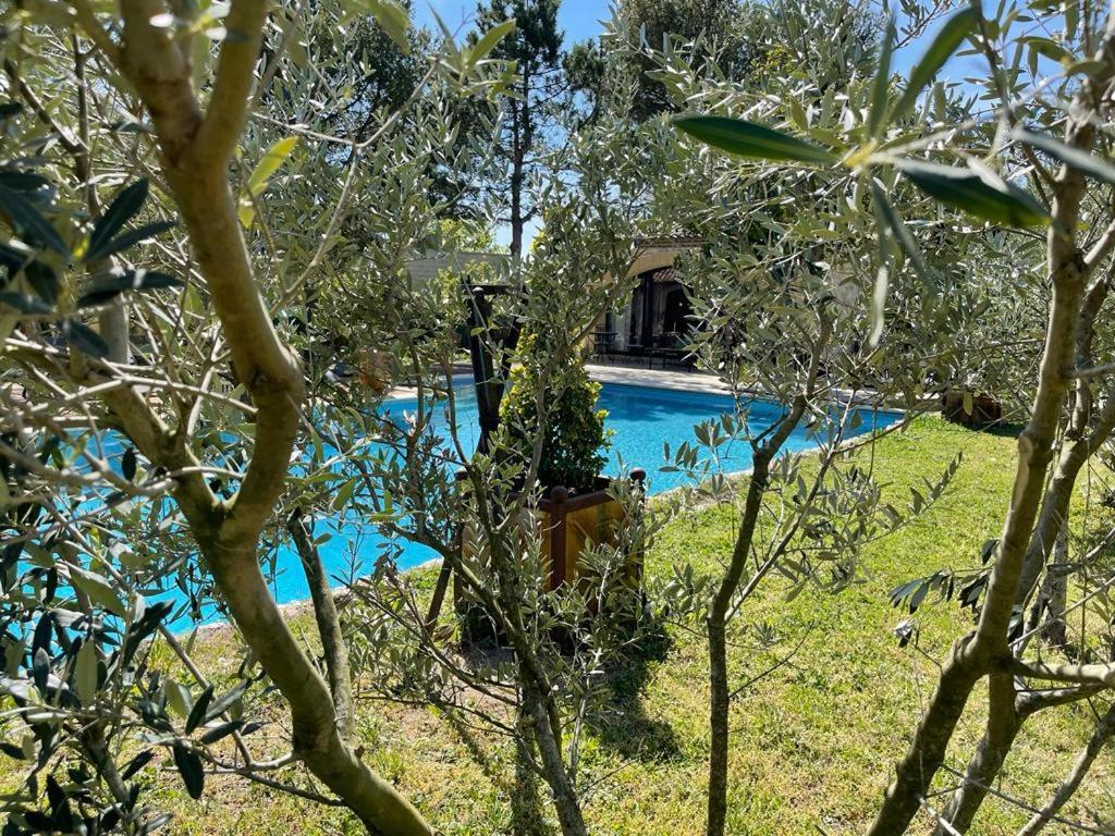 Gite Au Coeur De La Provence & Spa Saint-Cannat Esterno foto