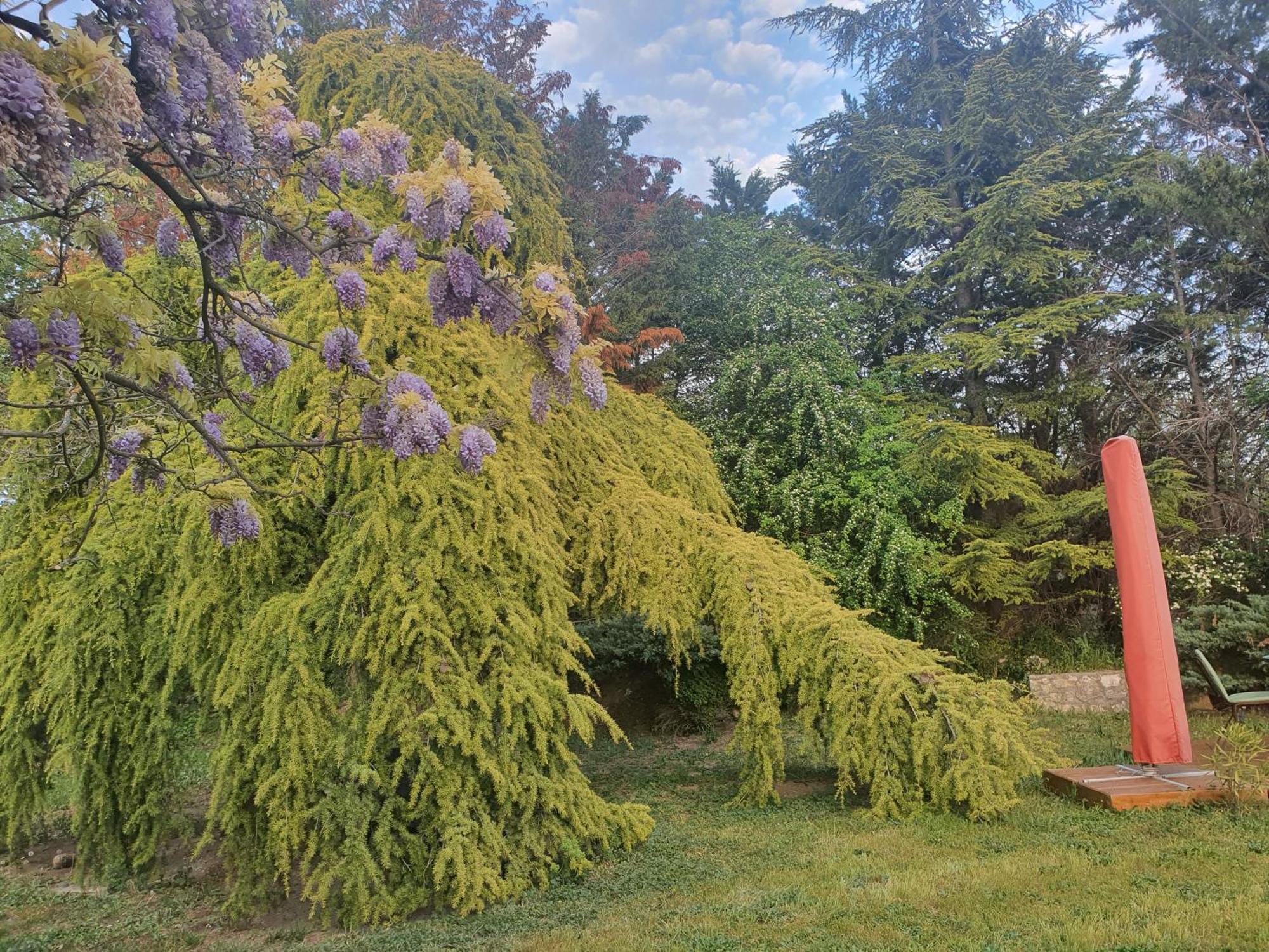 Gite Au Coeur De La Provence & Spa Saint-Cannat Esterno foto